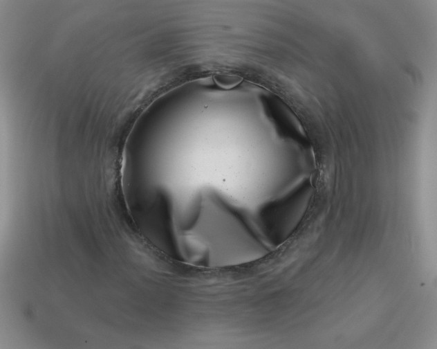 X0000113001012200909101751