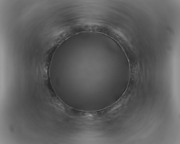 X0000113001013200909101751