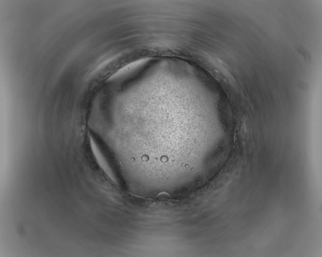 X0000113001015200909101751