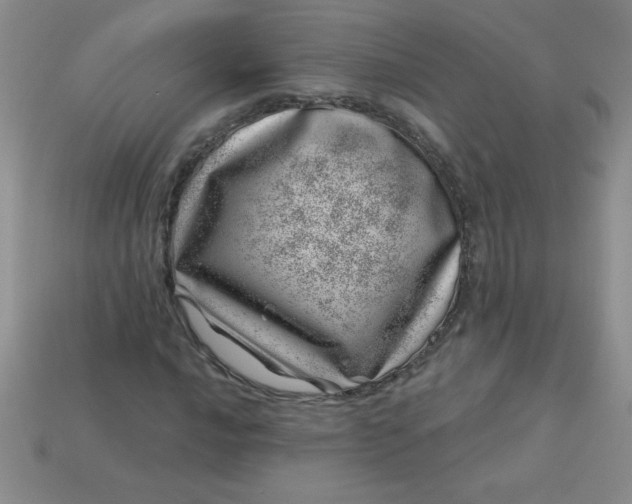 X0000113001016200909101751