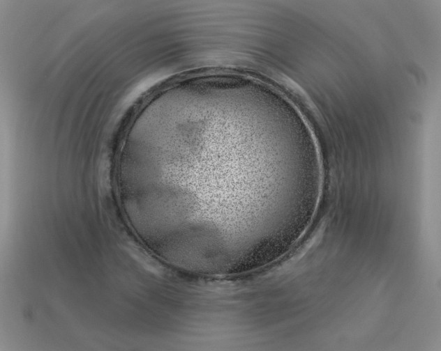 X0000113001019200909101751