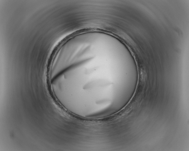 X0000113001020200909101751