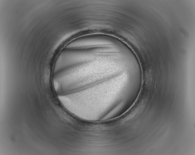 X0000113001021200909101751