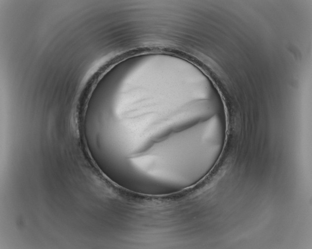 X0000113001022200909101751