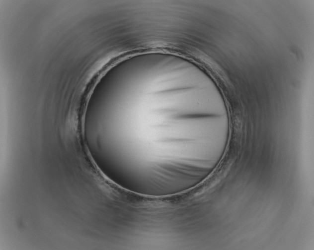 X0000113001023200909101751