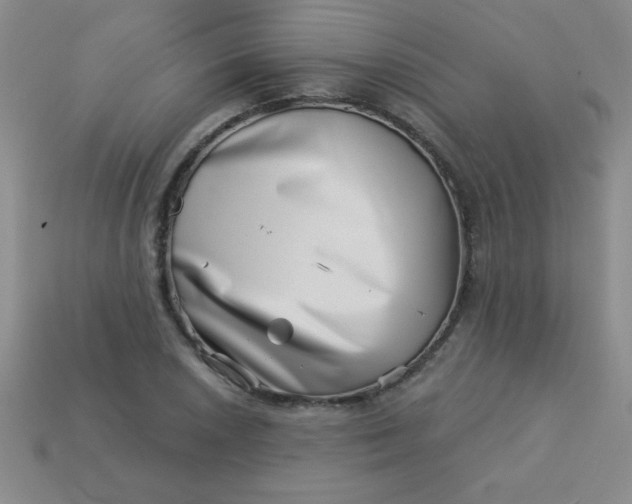 X0000113001026200909101751