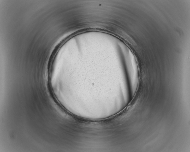 X0000113001028200909101751