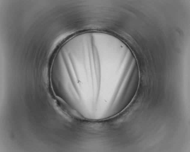 X0000113001030200909101751