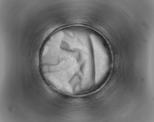 X0000113001031200909101751