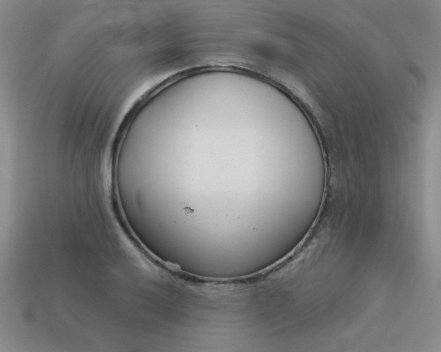 X0000113001032200909101751