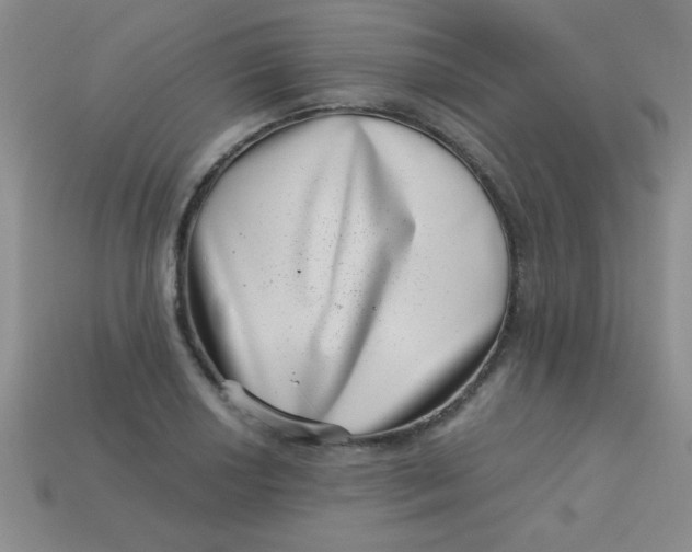 X0000113001034200909101751