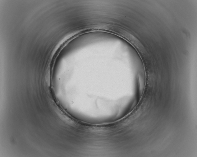 X0000113001036200909101751