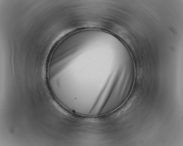 X0000113001037200909101751