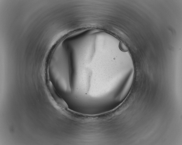 X0000113001038200909101752