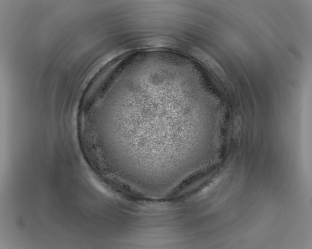 X0000113001039200909101752