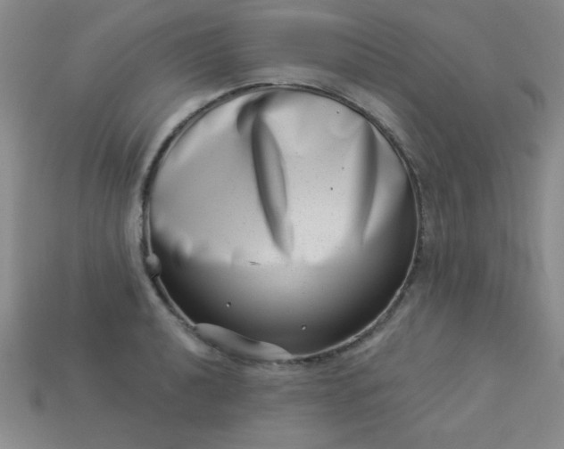 X0000113001040200909101752