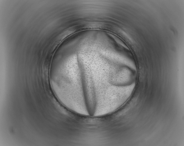 X0000113001041200909101752