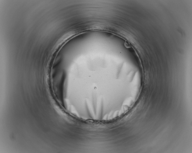 X0000113001042200909101752