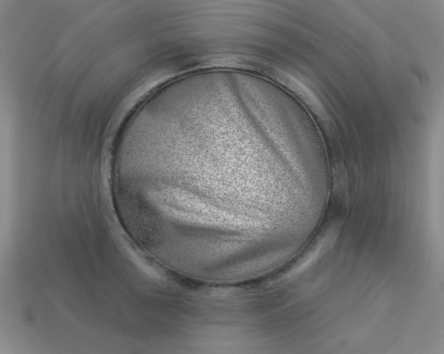 X0000113001043200909101752