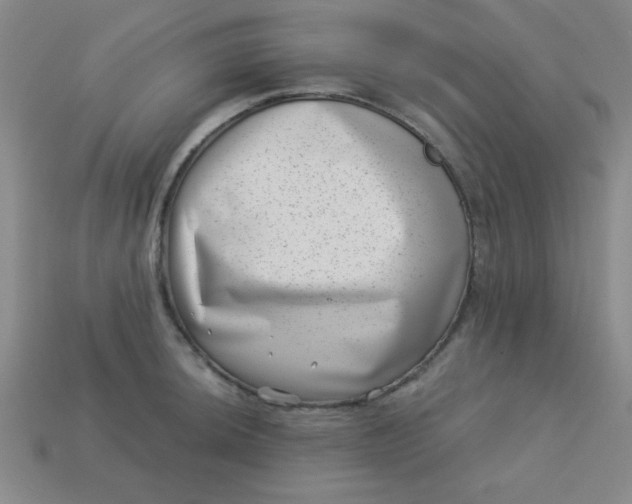 X0000113001044200909101752