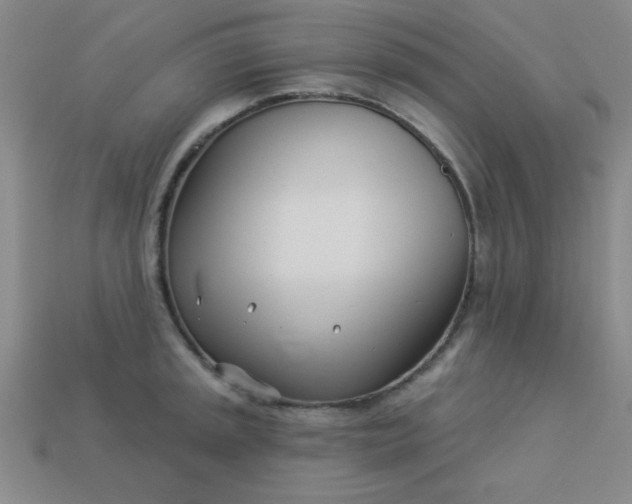 X0000113001045200909101752