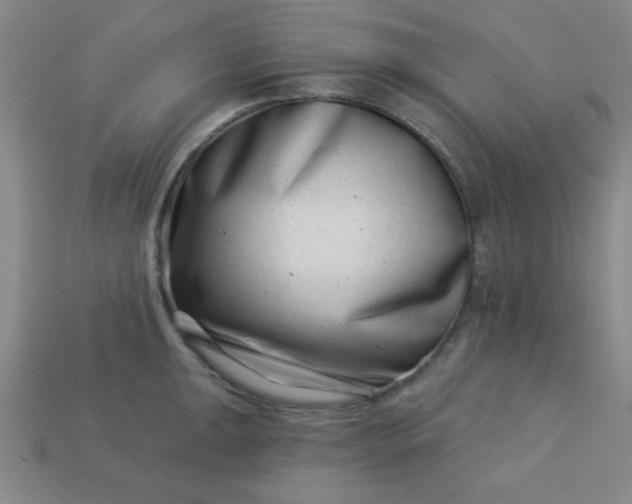 X0000113001047200909101752