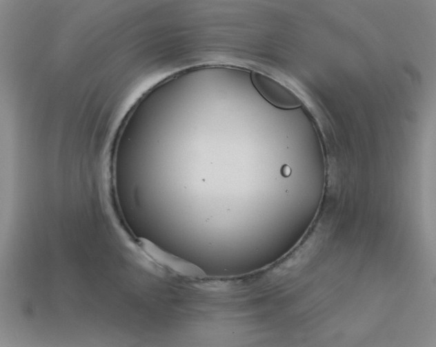 X0000113001048200909101752