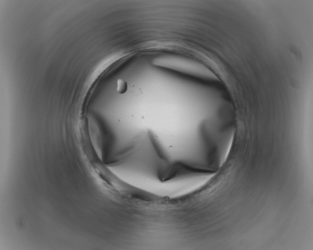 X0000113001050200909101752