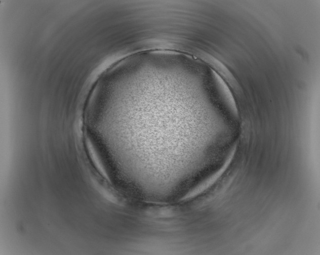 X0000113001051200909101752