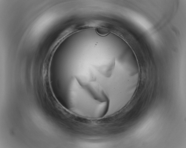 X0000113001052200909101752