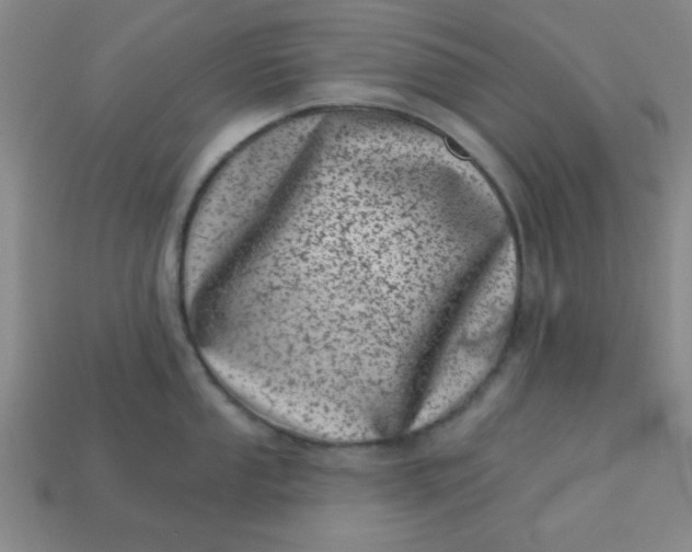 X0000113001053200909101752