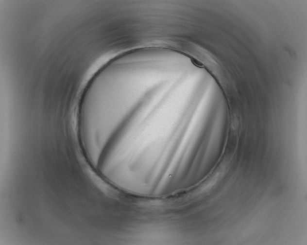 X0000113001054200909101752