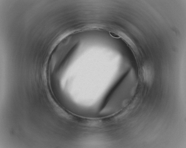 X0000113001055200909101752