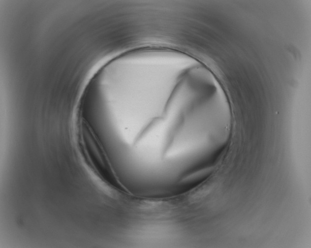 X0000113001056200909101752