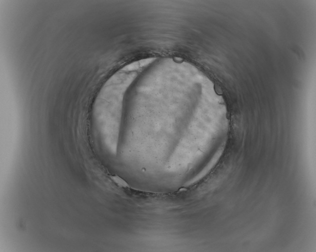 X0000113001057200909101751