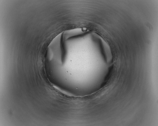 X0000113001058200909101751