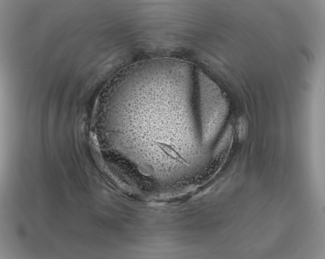 X0000113001059200909101751