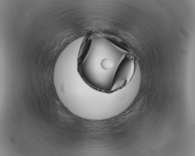 X0000113001060200909101751