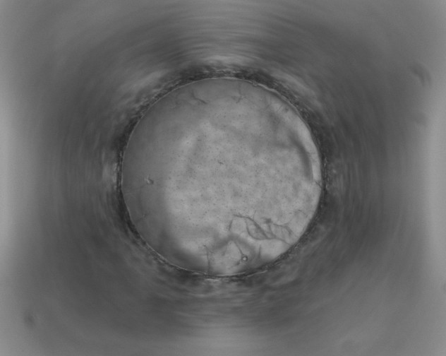 X0000113001061200909101751