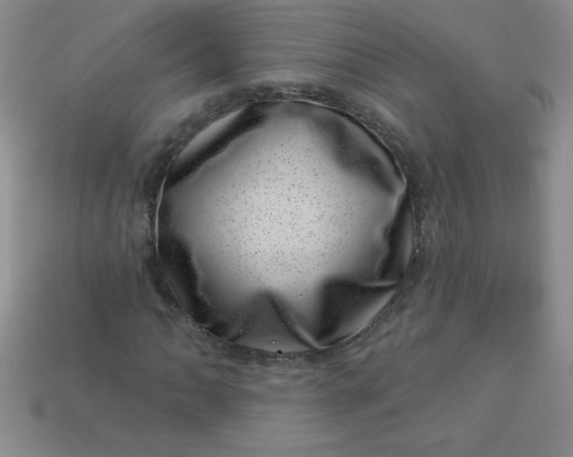 X0000113001062200909101751