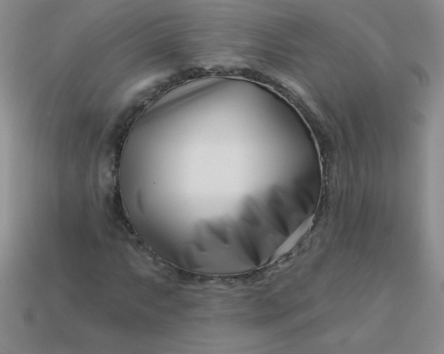 X0000113001063200909101751