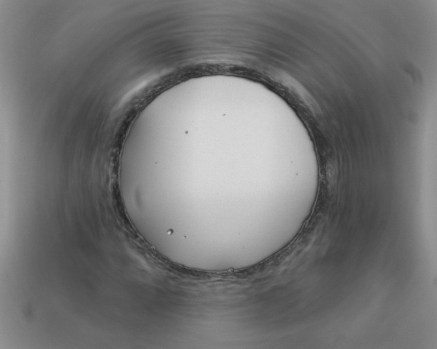 X0000113001064200909101751