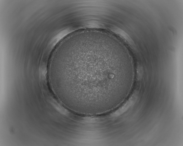 X0000113001065200909101751