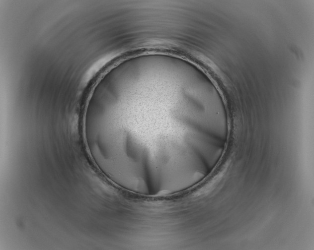 X0000113001066200909101751