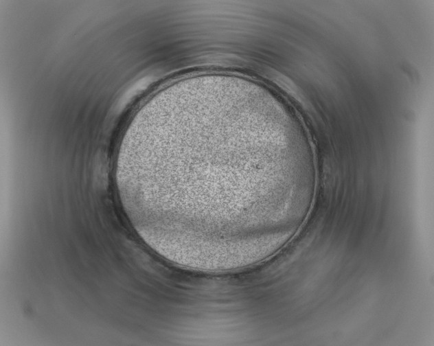 X0000113001067200909101751