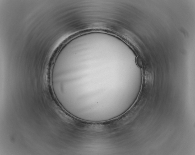 X0000113001068200909101751