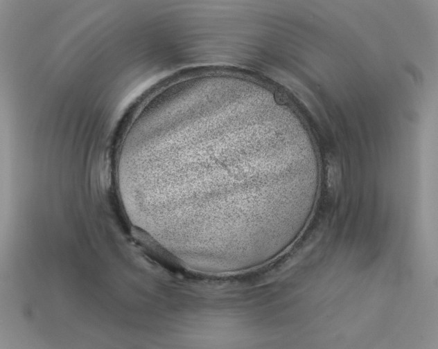 X0000113001069200909101751