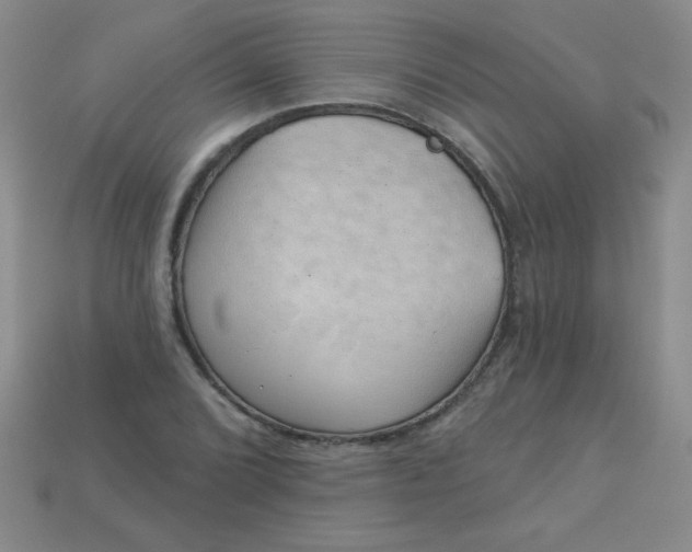 X0000113001072200909101751