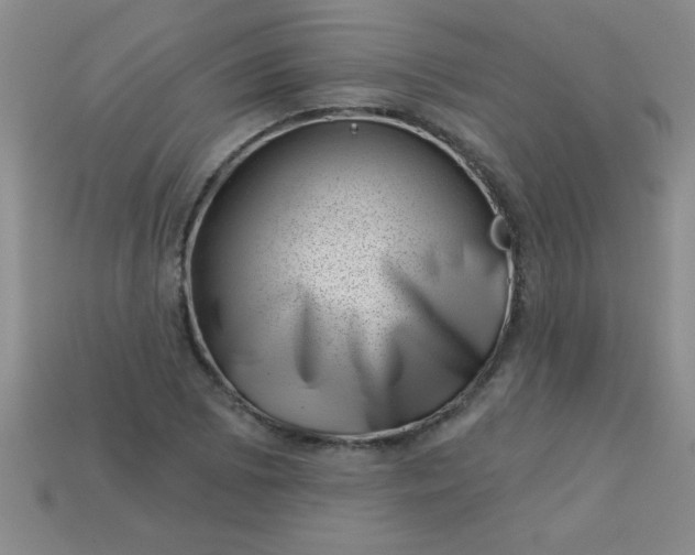 X0000113001073200909101751