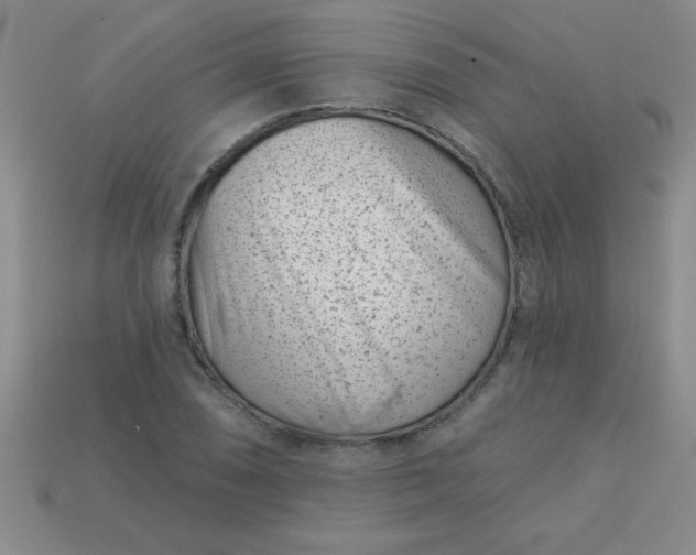 X0000113001074200909101751